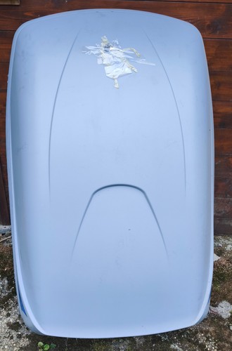 Thule ocean 100 box tetto - thule,